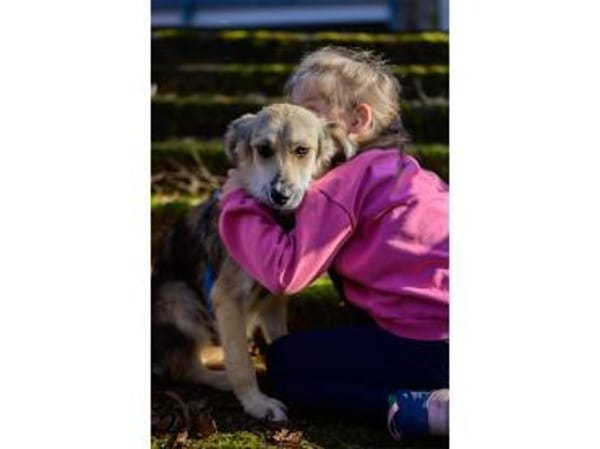 Leander - wartet in 73494 Rosenberg