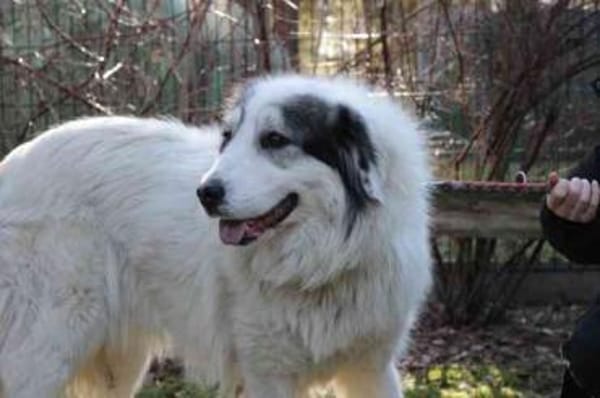 Isa su. Menschen mit Herz