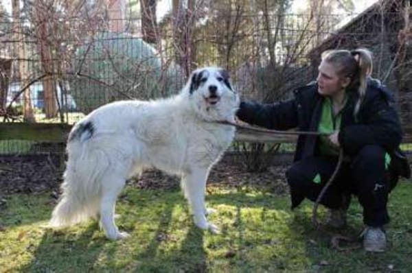 Isa su. Menschen mit Herz