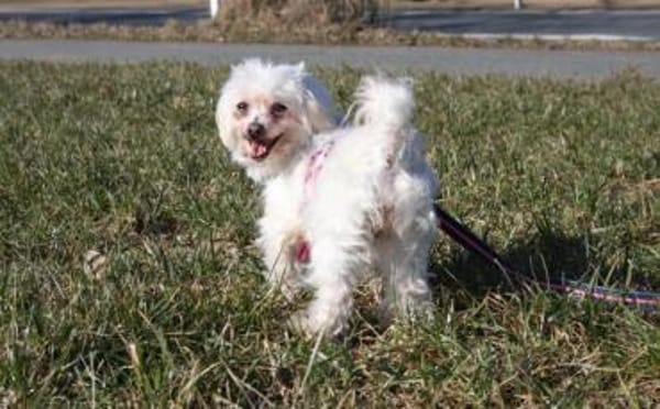 Mimi sucht ihre Familie