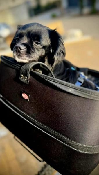 Muckel - kleiner,verschmuster Begleiter