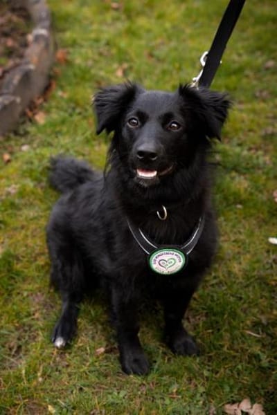 Leilani möchte ihr Herz verschenken...