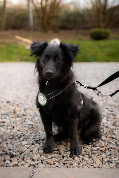 Leilani möchte ihr Herz verschenken...