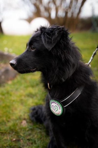 Leilani möchte ihr Herz verschenken...