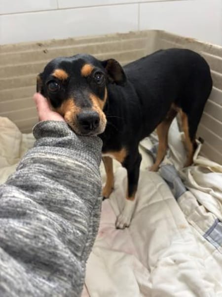 Gnadenplatz für Anette