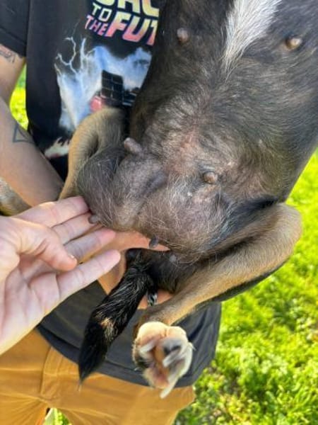Gnadenplatz für Anette