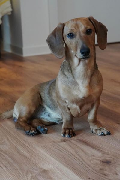 Alaska wartet auf PS in Rostock!