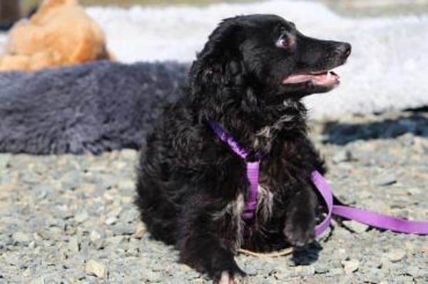 Ace such seine Herzensmenschen...