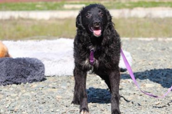 Ace such seine Herzensmenschen...