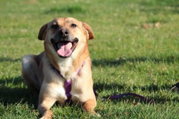 Nella sucht ihre Menschen...