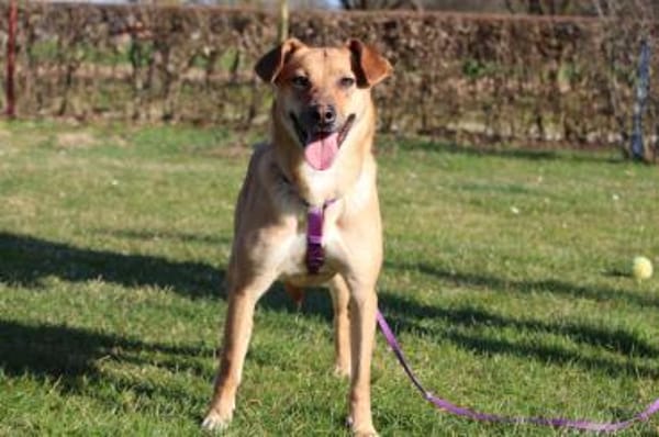 Nella sucht ihre Menschen...