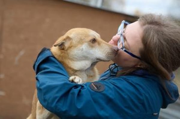 Simba❤in sucht seine Menschen