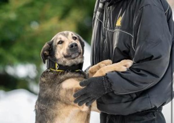 Ricky ❤ sehnt sich nach seinen Menschen