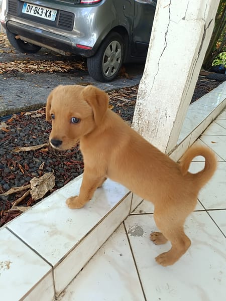 Veruka la bouille d'amour