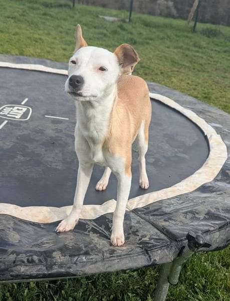 NOVAA la petite étoile