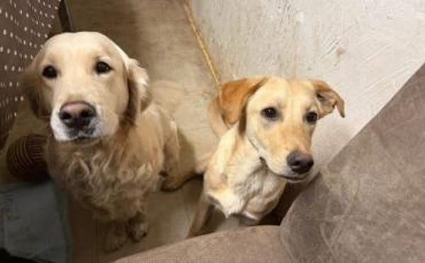 kleine Sonne Sinje sucht das Licht