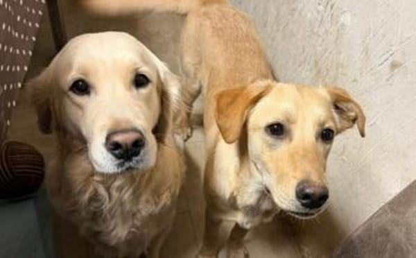 kleine Sonne Sinje sucht das Licht