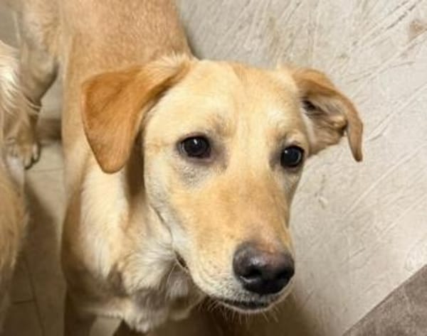 kleine Sonne Sinje sucht das Licht