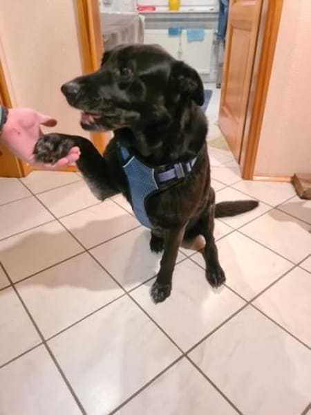 RONNY sucht warmes Plätzchen