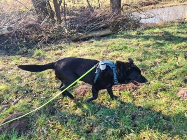 RONNY sucht warmes Plätzchen