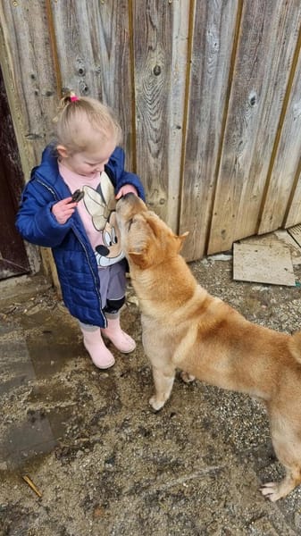 Otto, ich suche ein neues Zuhause