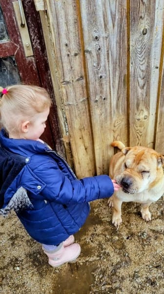 Otto, ich suche ein neues Zuhause