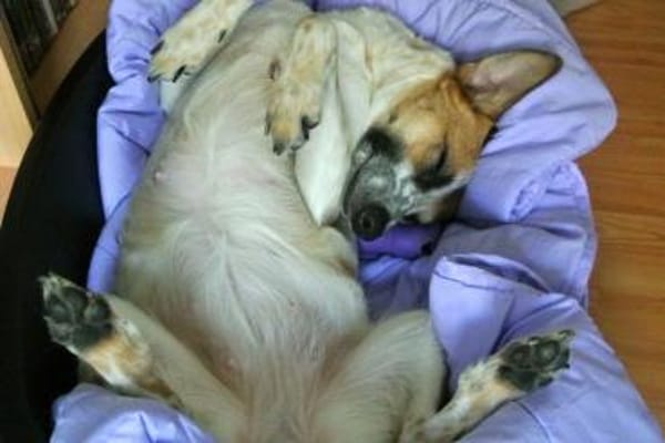 Wer verliebt sich in ANOUK?