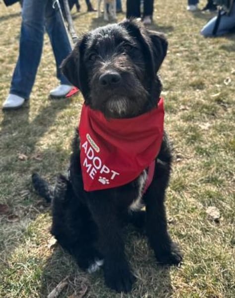 Zuckersüße, liebe Evita