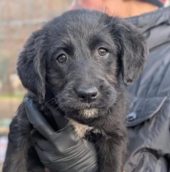 Zuckersüße, liebe Evita