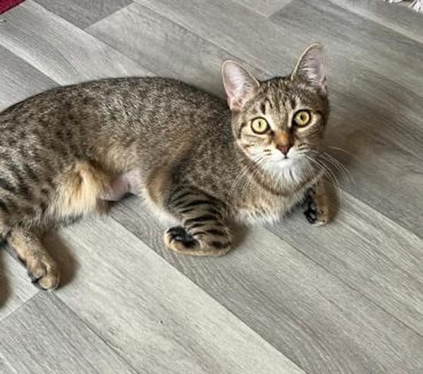 Dina u. Daisy suchen liebevolles Zuhause