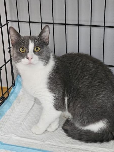 FUSSEL&KRÜMEL - zwei Brüder !