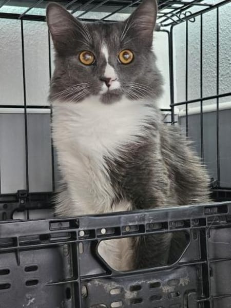 FUSSEL&KRÜMEL - zwei Brüder !