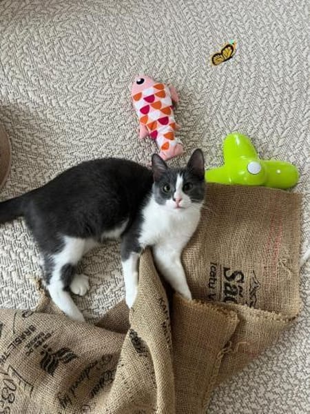 FUSSEL&KRÜMEL - zwei Brüder !