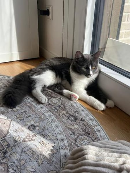 FUSSEL&KRÜMEL - zwei Brüder !