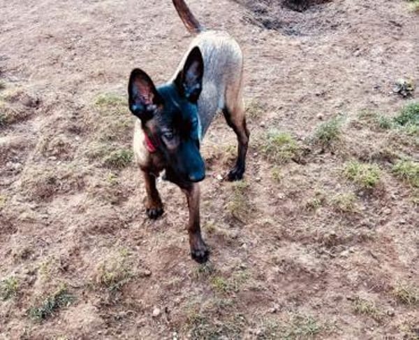 Storm Hoffnung auf ein aktives Zuhause