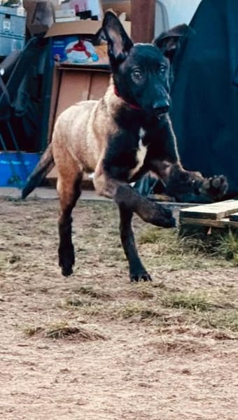 Storm Hoffnung auf ein aktives Zuhause