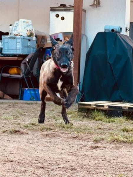 Storm Hoffnung auf ein aktives Zuhause