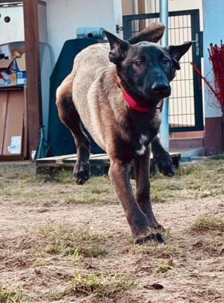 Storm Hoffnung auf ein aktives Zuhause