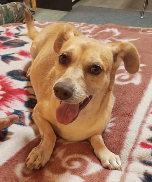 RANYA - kleine liebe Persönlichkeit