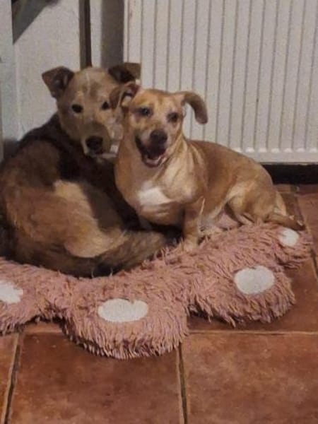 RANYA - kleine liebe Persönlichkeit