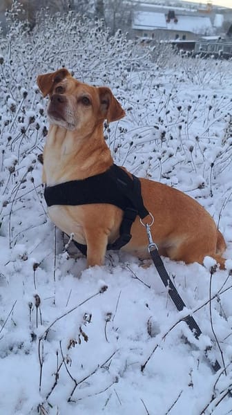 RANYA - kleine liebe Persönlichkeit