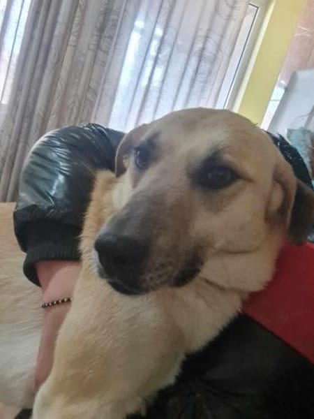 Kyra hübsche Lady sucht Anschluss