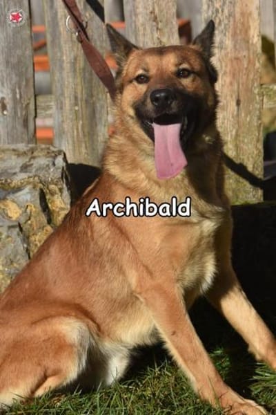 ARCHIBALD