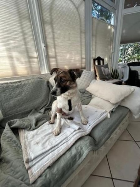 WILMA sucht ruhiges Zuhause