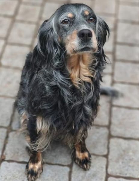 wunderschöne Perla 🥰