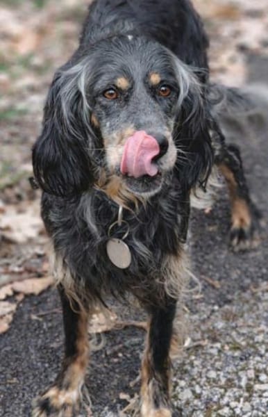 wunderschöne Perla 🥰