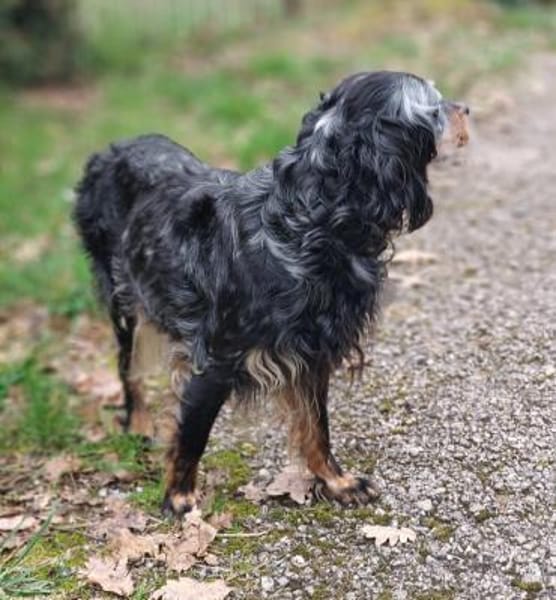 wunderschöne Perla 🥰