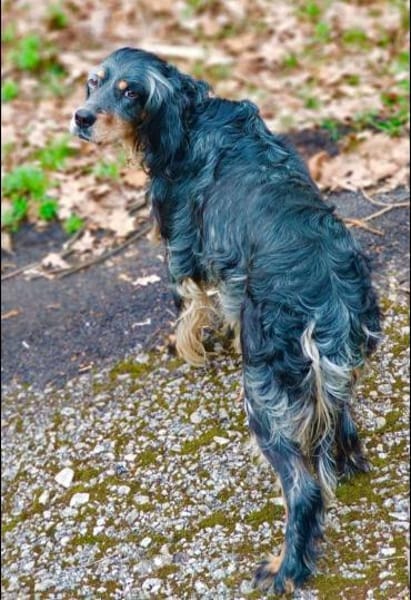 wunderschöne Perla 🥰