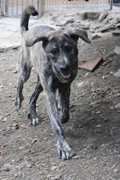 Chanel - das zarte Blümchen