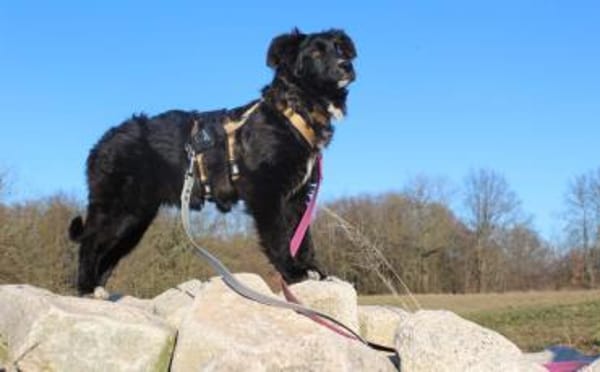 Kleine Göttin Sunna will Herzen erobern